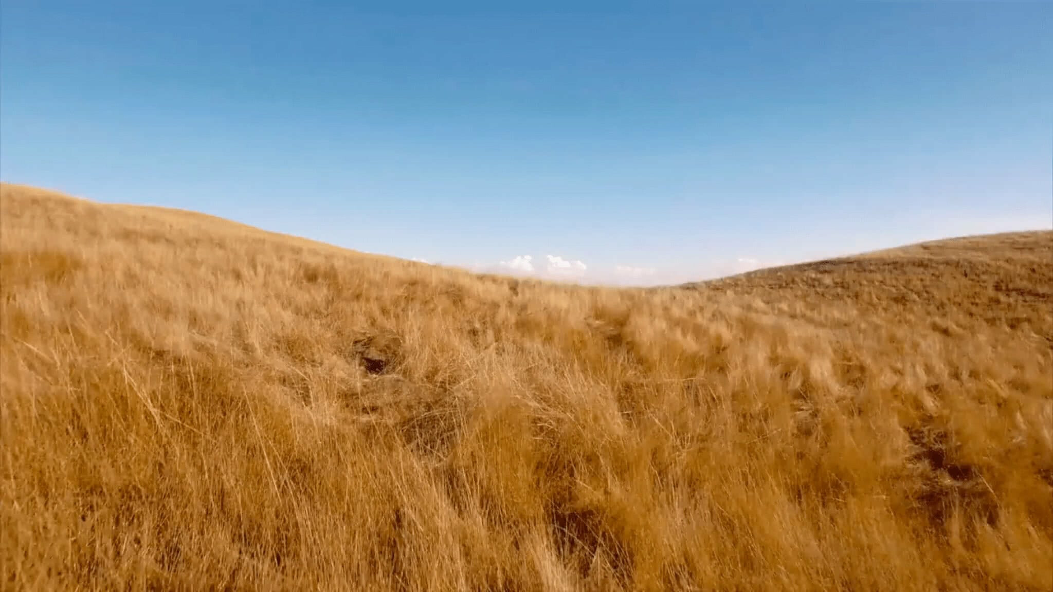 Welcome to Sermon Cloud (Video)
